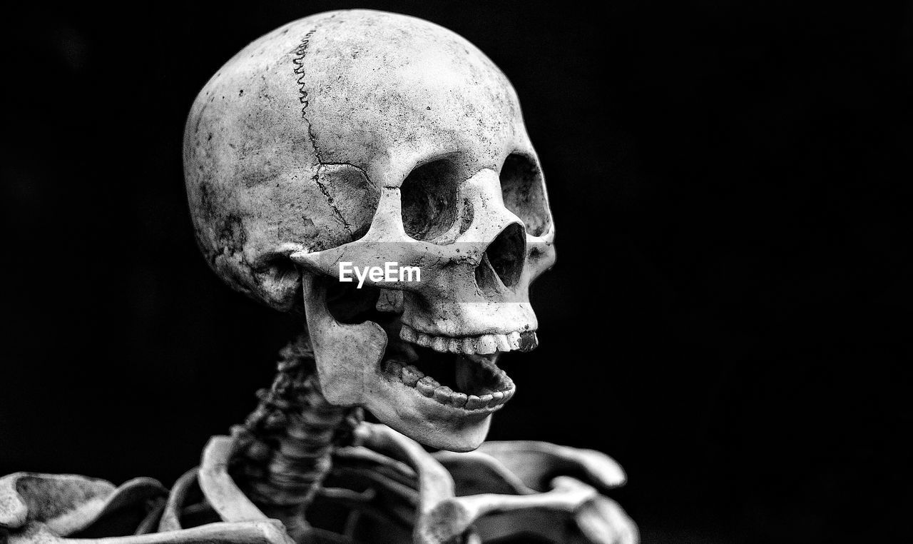 Close-up of human skull against black background