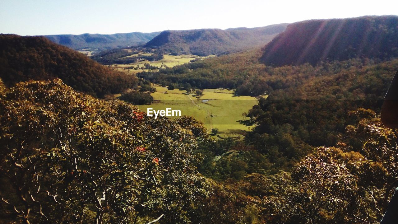 HIGH ANGLE VIEW OF TREES GROWING ON LAND AGAINST SKY