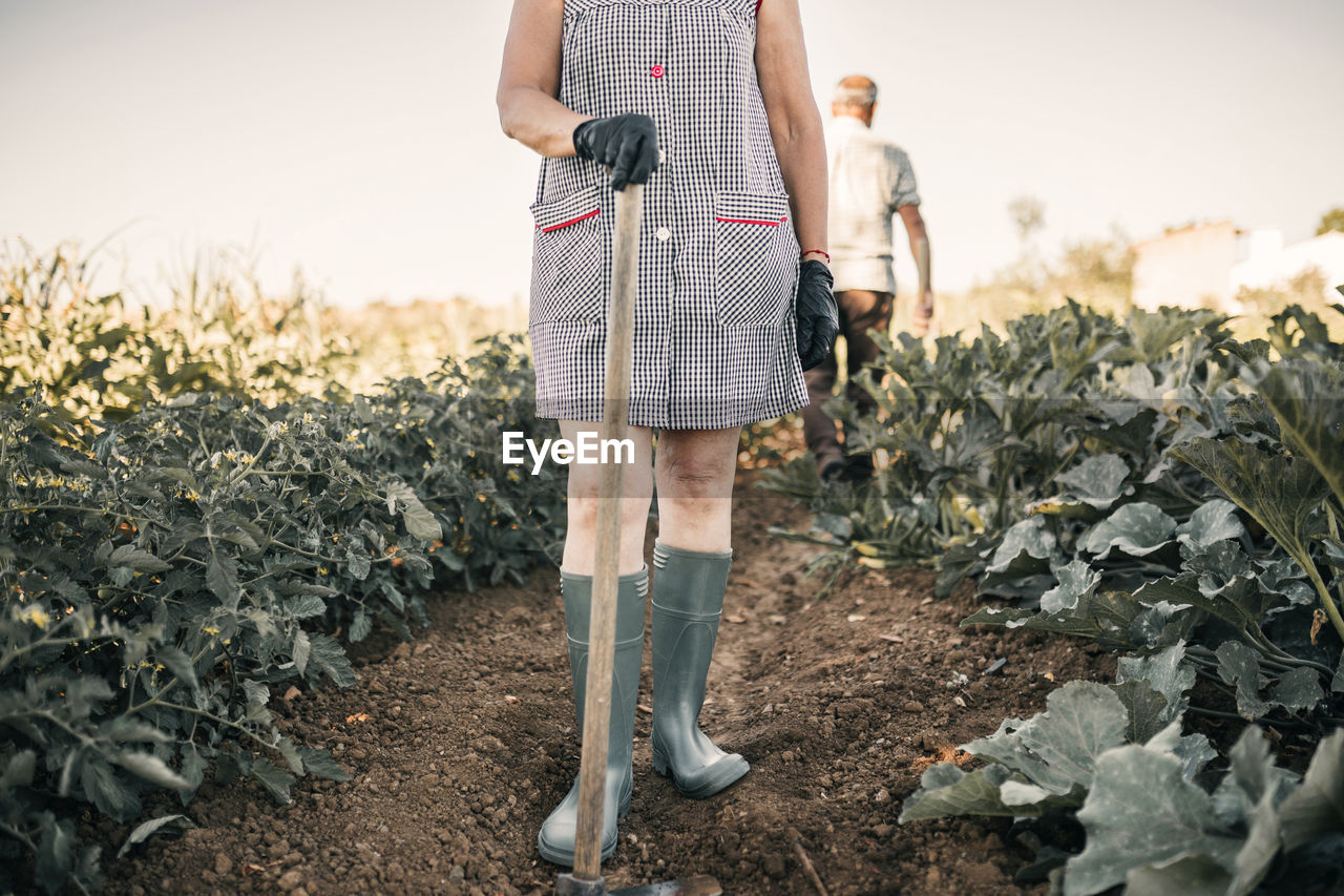 Female agricultural worker holding shovel while standing at vegetable farm