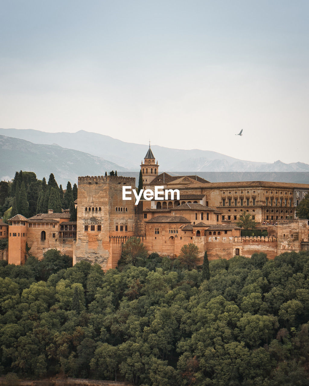 View on historic castle building alhambra in grenada, andalusia, spain