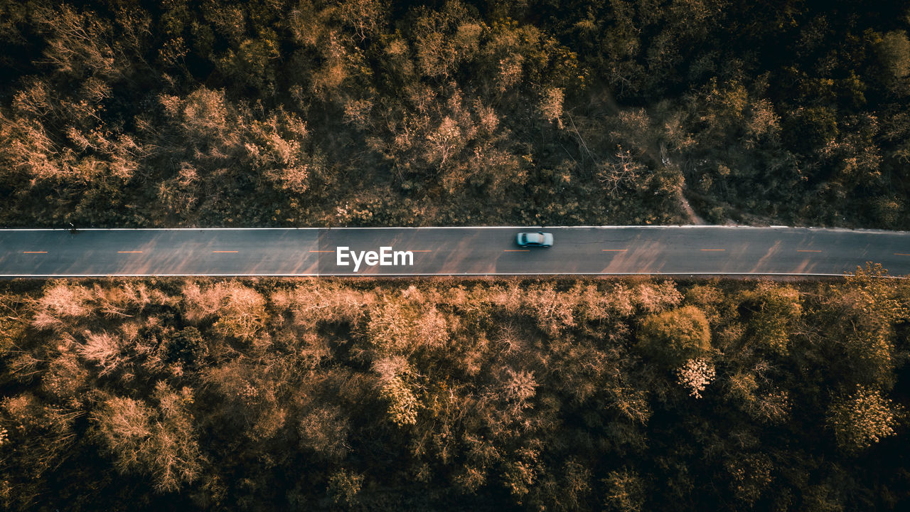 Aerial view of car moving on road amidst trees during sunset