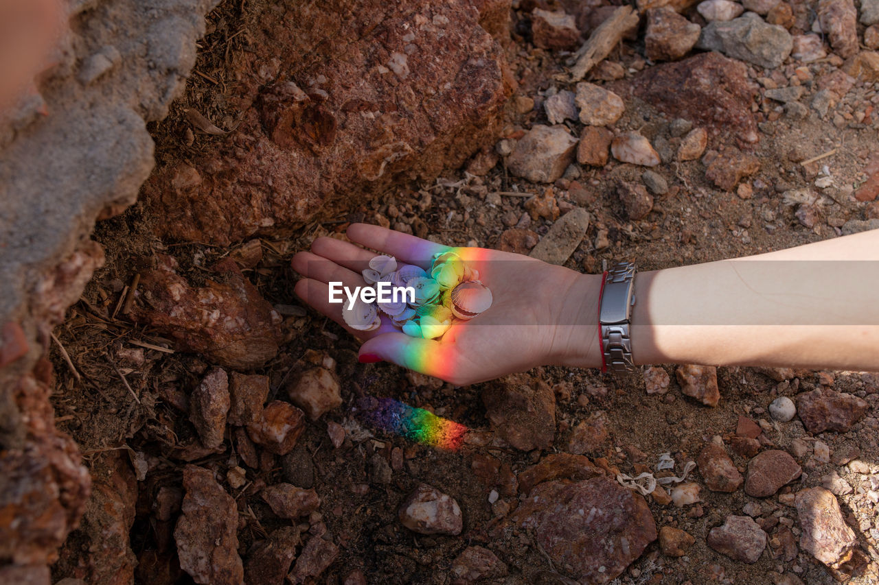 High angle view of person holding seashell with rainbow reflection outdoors