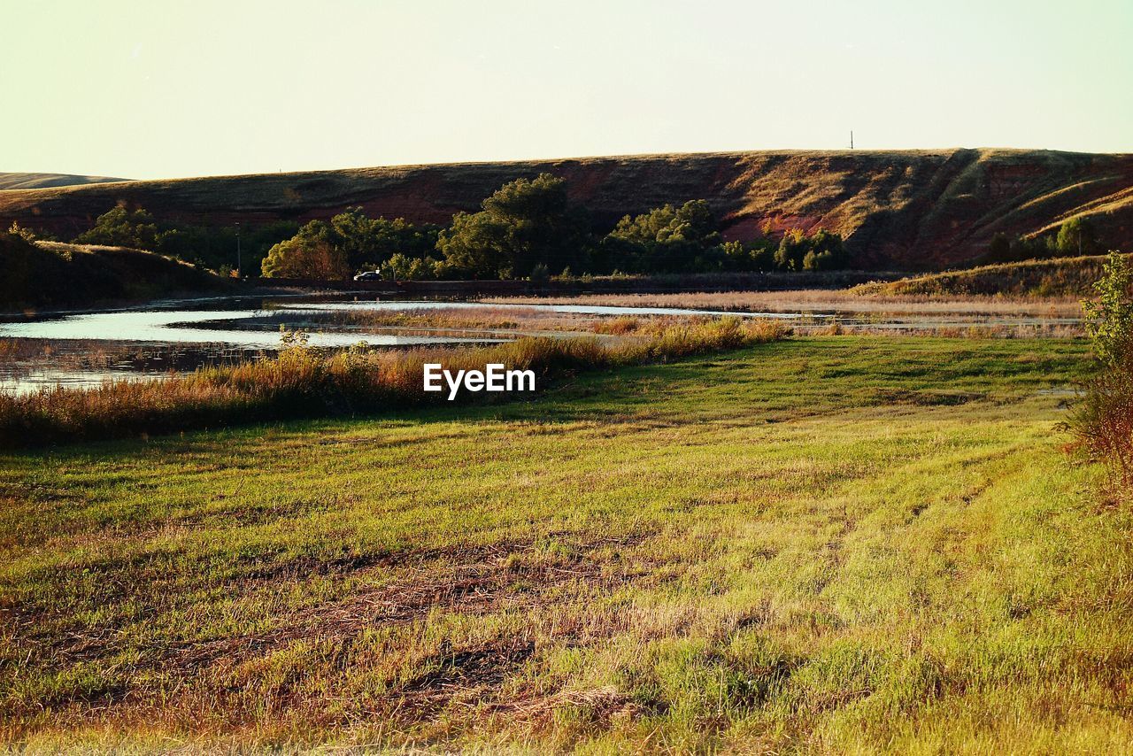 SCENIC VIEW OF TREES ON LANDSCAPE AGAINST SKY