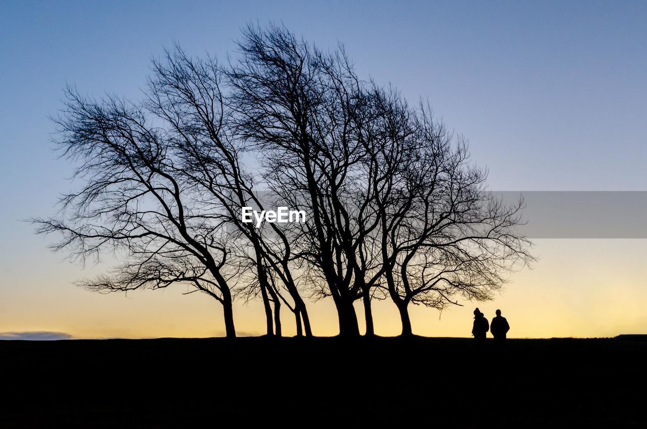 Silhouette people by bare tree against sky during sunset