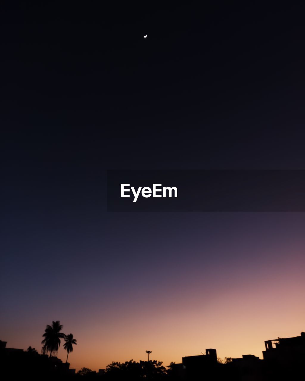 LOW ANGLE VIEW OF SILHOUETTE TREES AGAINST CLEAR SKY AT NIGHT