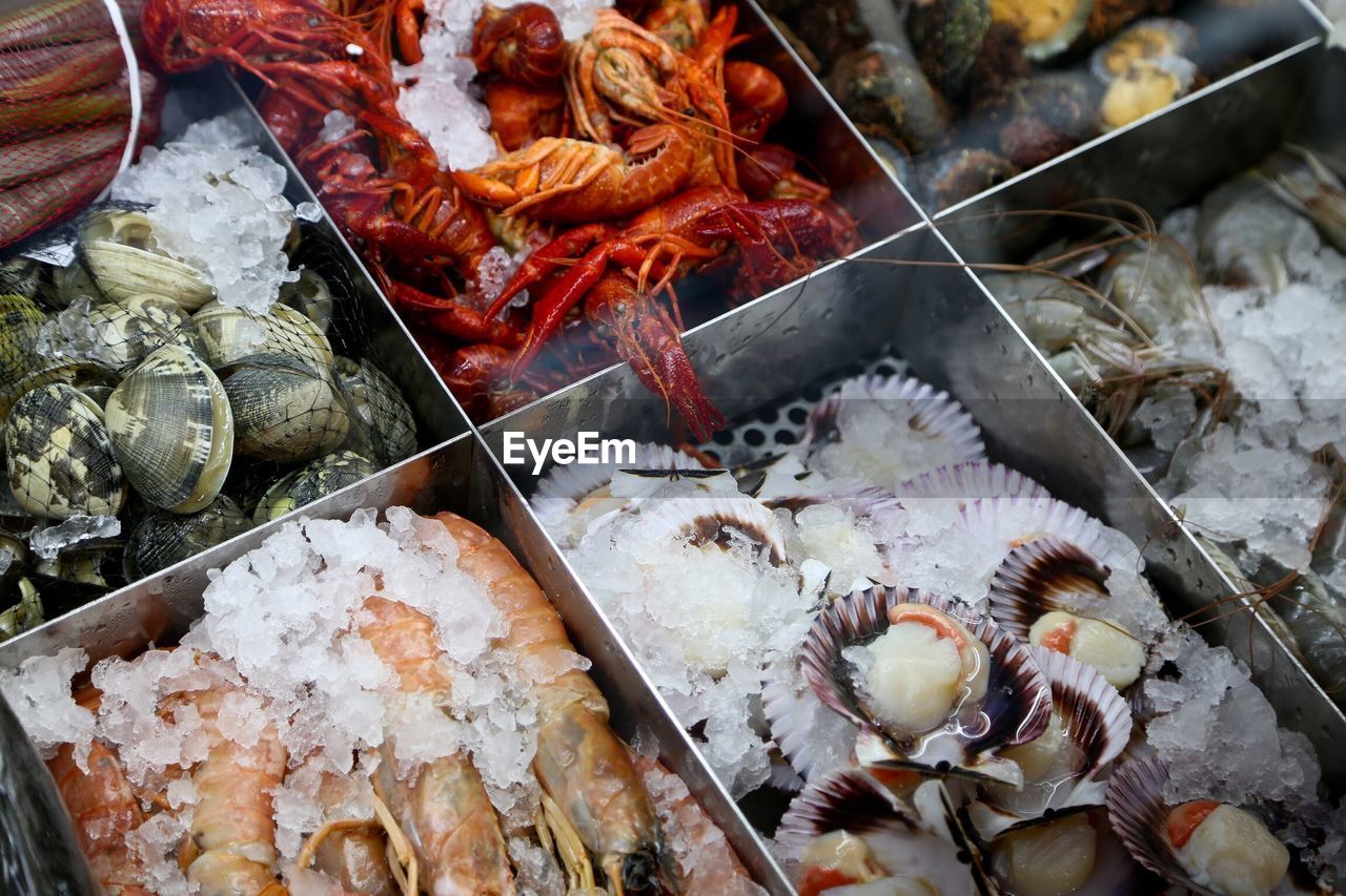 High angle view of seafood in containers at market stall