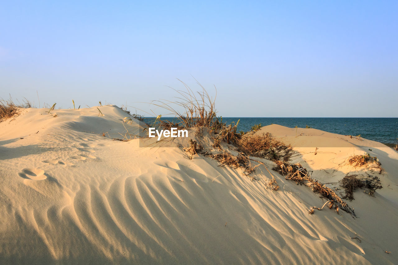 Scenic view of beach against clear sky