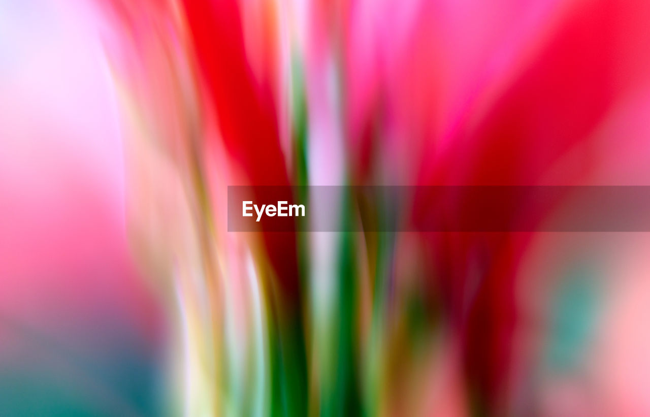 FULL FRAME SHOT OF PINK FLOWER PETAL