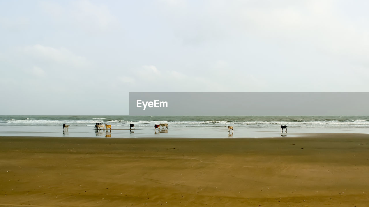 PEOPLE AT BEACH AGAINST SKY