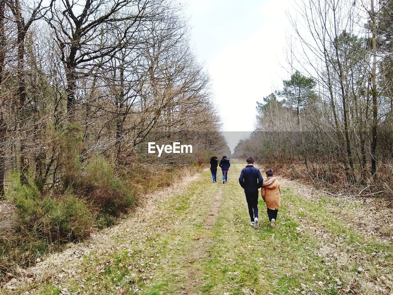 Rear view of people walking on footpath amidst bare trees