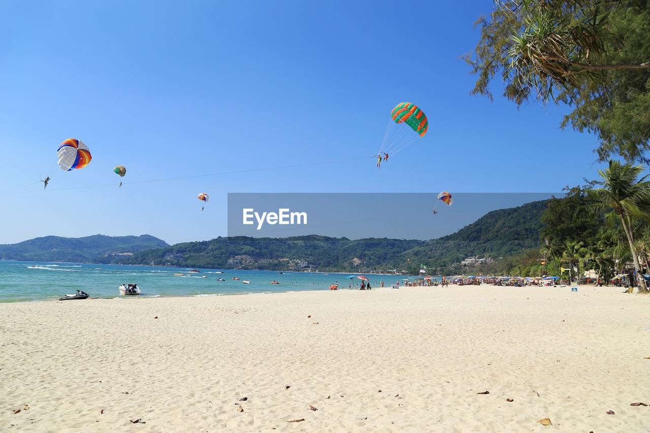 SCENIC VIEW OF BEACH AGAINST CLEAR SKY