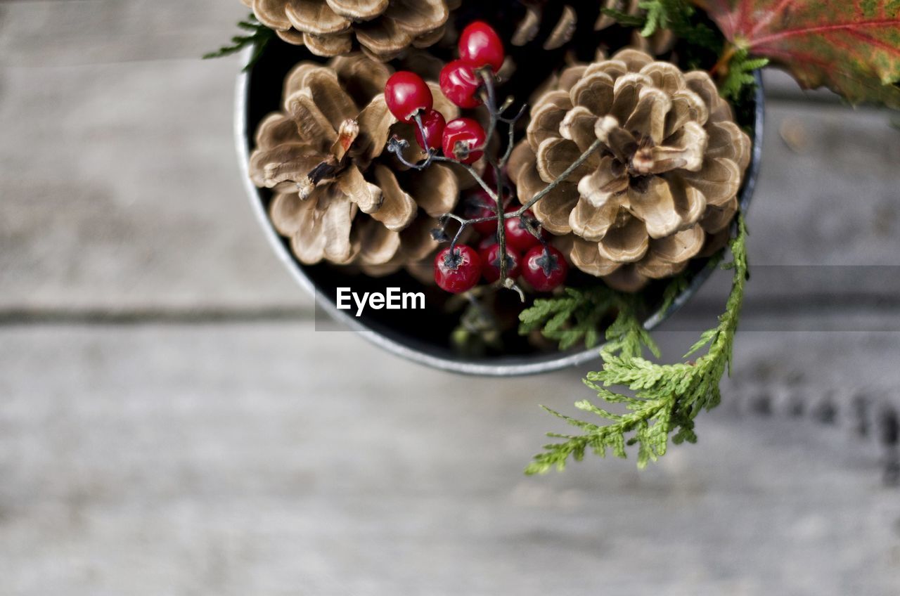 Close-up of pine cones with berries for christmas