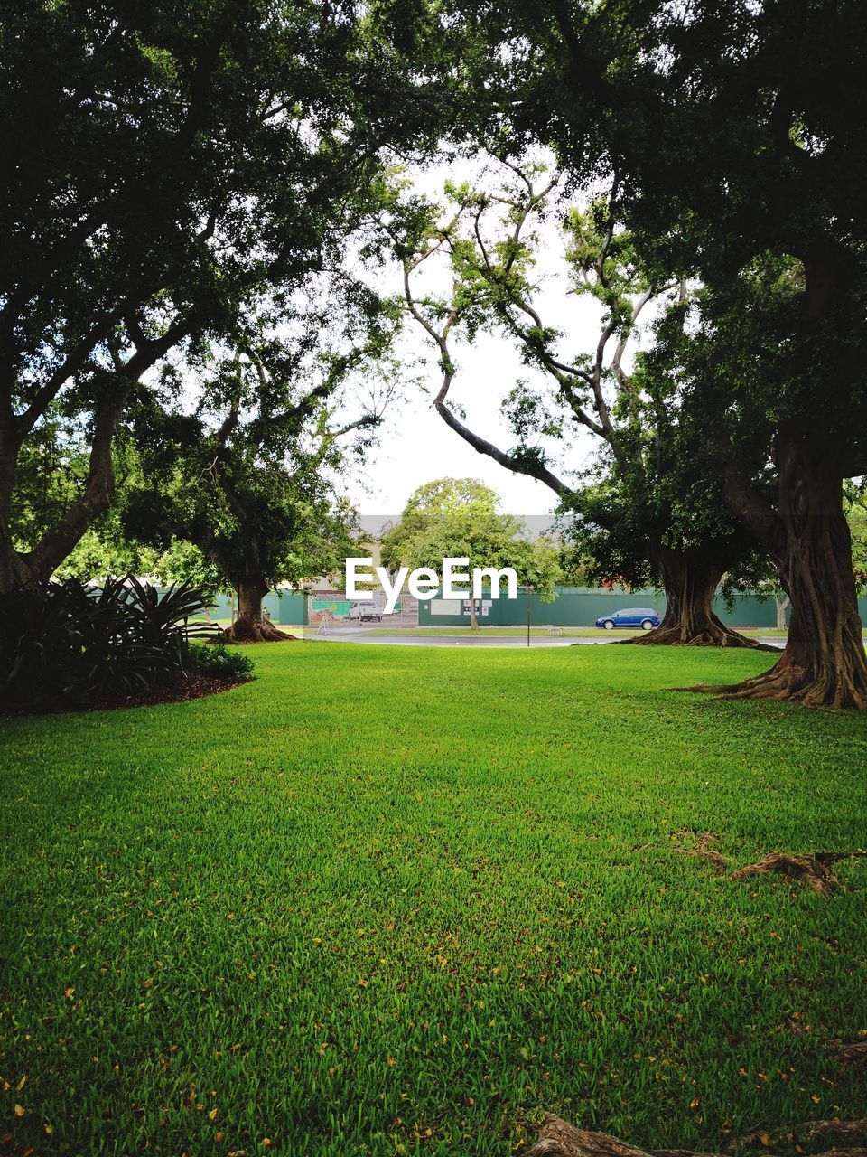 PARK BENCH ON FIELD AGAINST TREES IN SKY