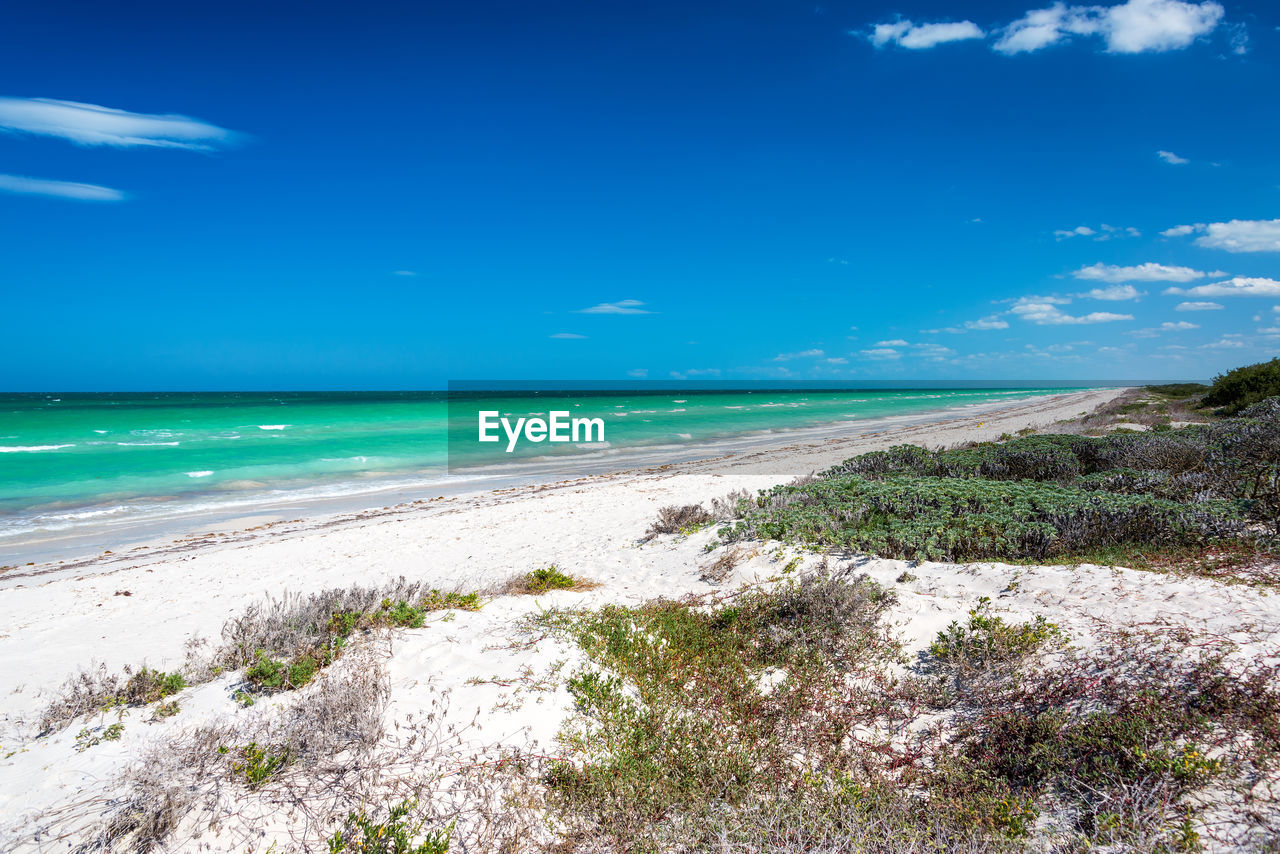 Scenic view of beach against blue sky during sunny day