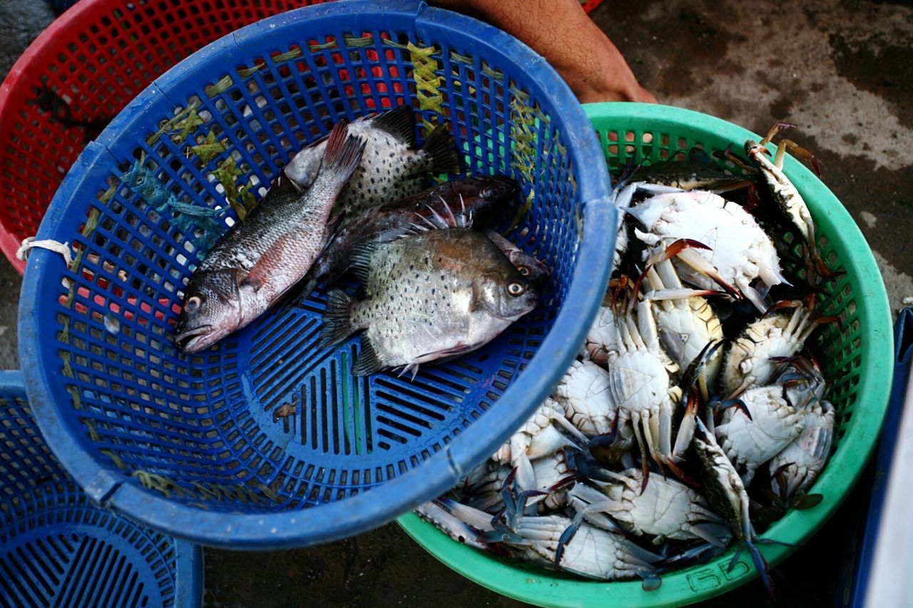 High angle view of crabs and fishes in basket at market stall