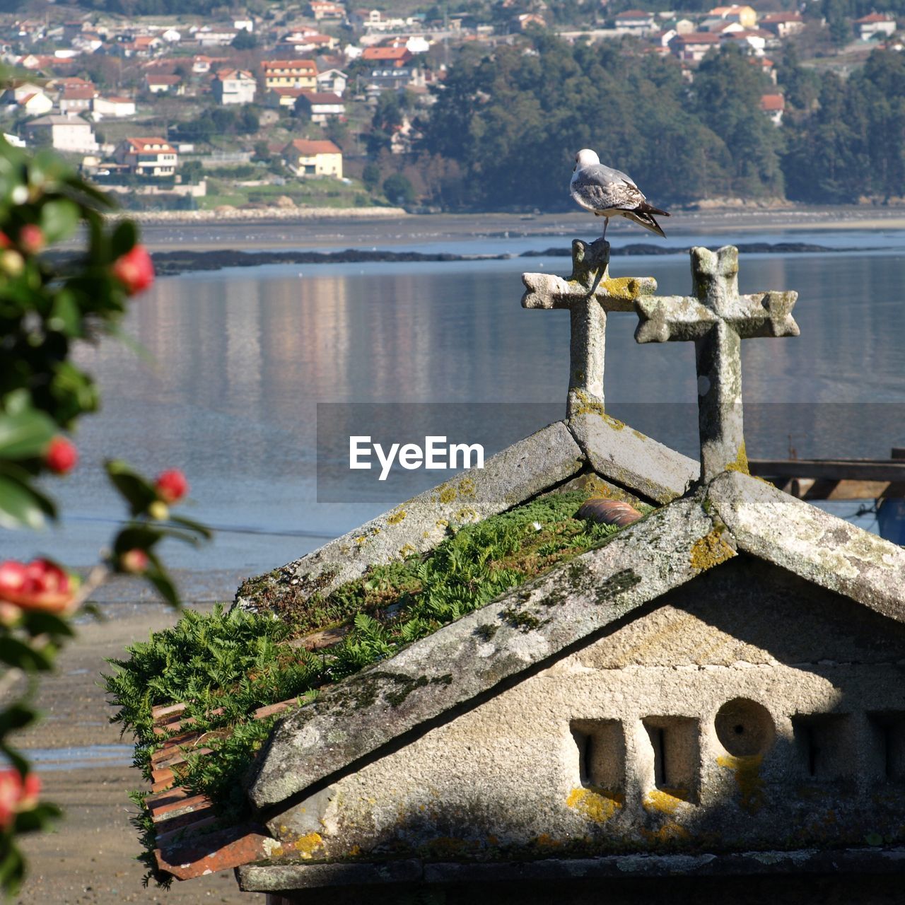 Bird perching on horreo by the sea