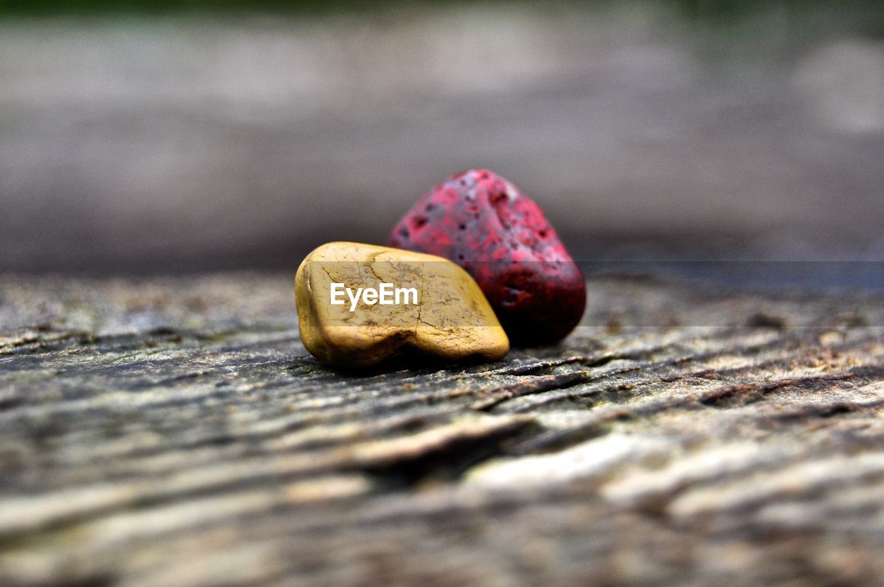 Close-up of pebbles on tree stump