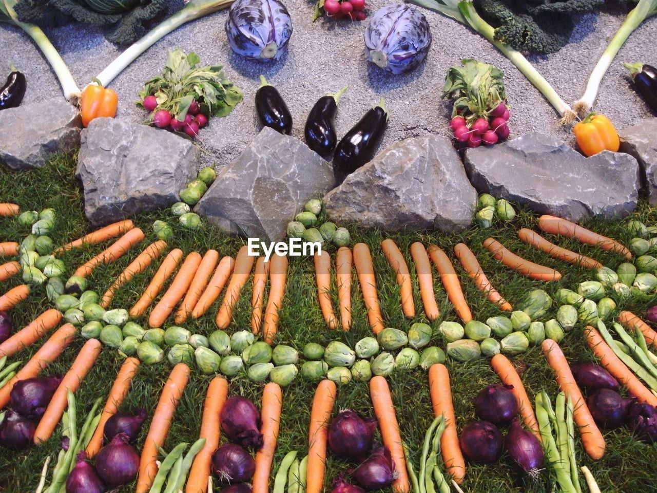 CLOSE-UP VIEW OF VEGETABLES