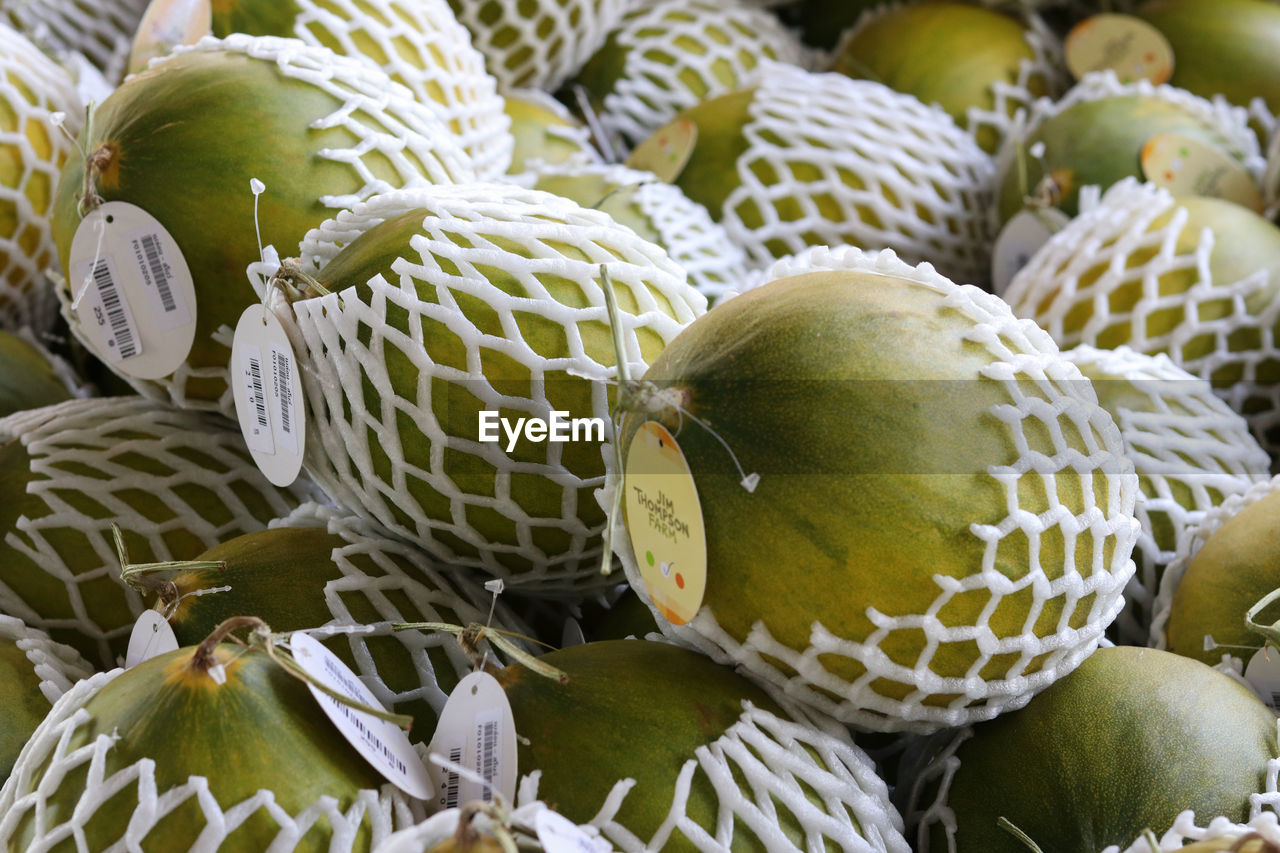 CLOSE-UP OF FRUITS ON LEAVES