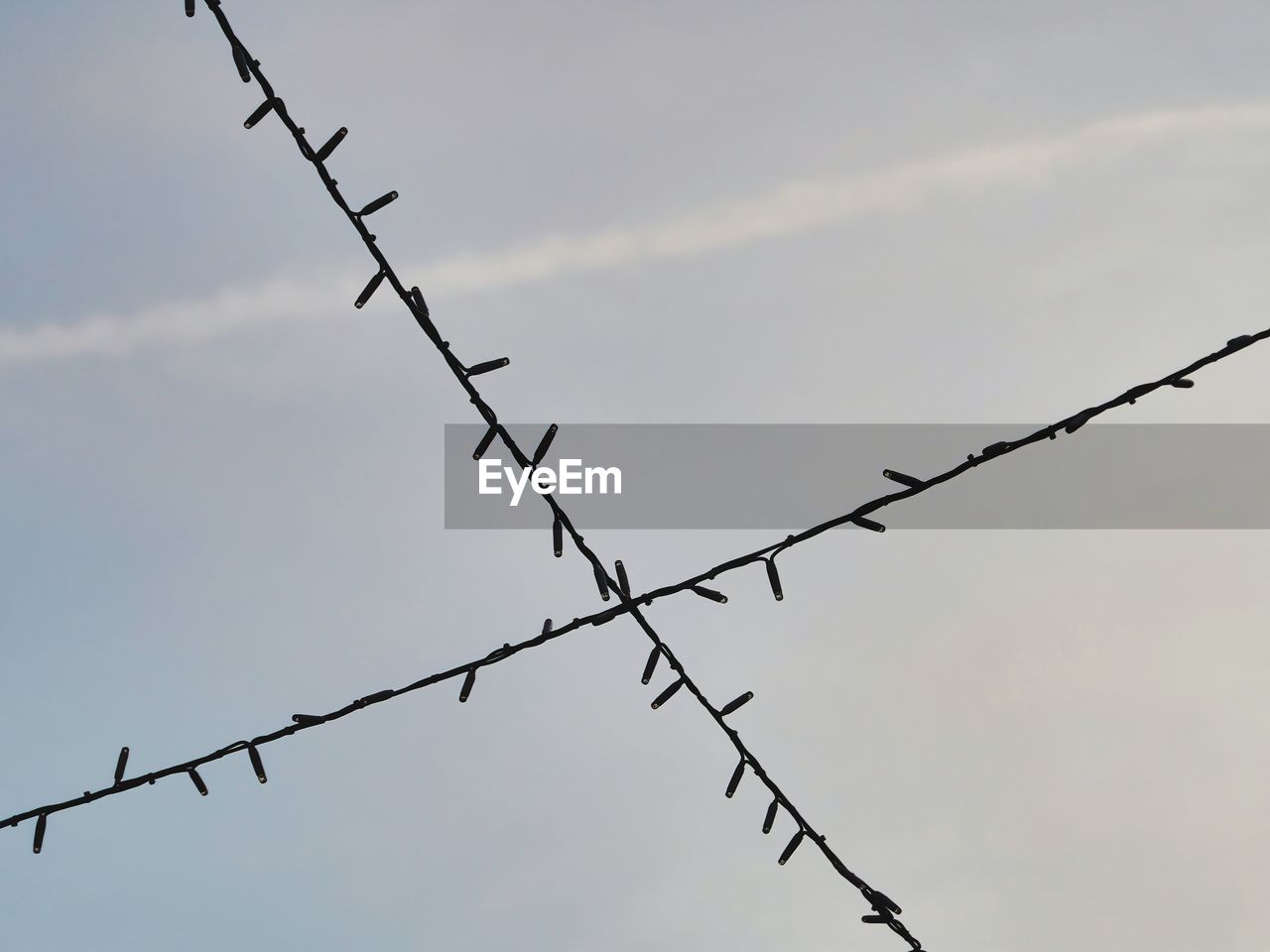 wire, protection, wire fencing, barbed wire, security, fence, sky, branch, outdoor structure, metal, no people, nature, sharp, line, home fencing, twig, warning sign, sign, communication, forbidden, low angle view, electricity, outdoors, day, silhouette, overhead power line, wire mesh, cloud, technology