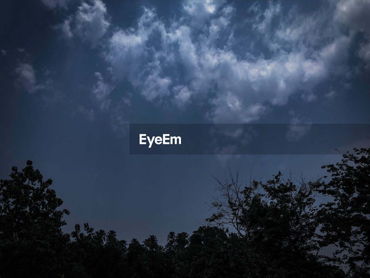 LOW ANGLE VIEW OF SILHOUETTE TREES AGAINST CLOUDY SKY