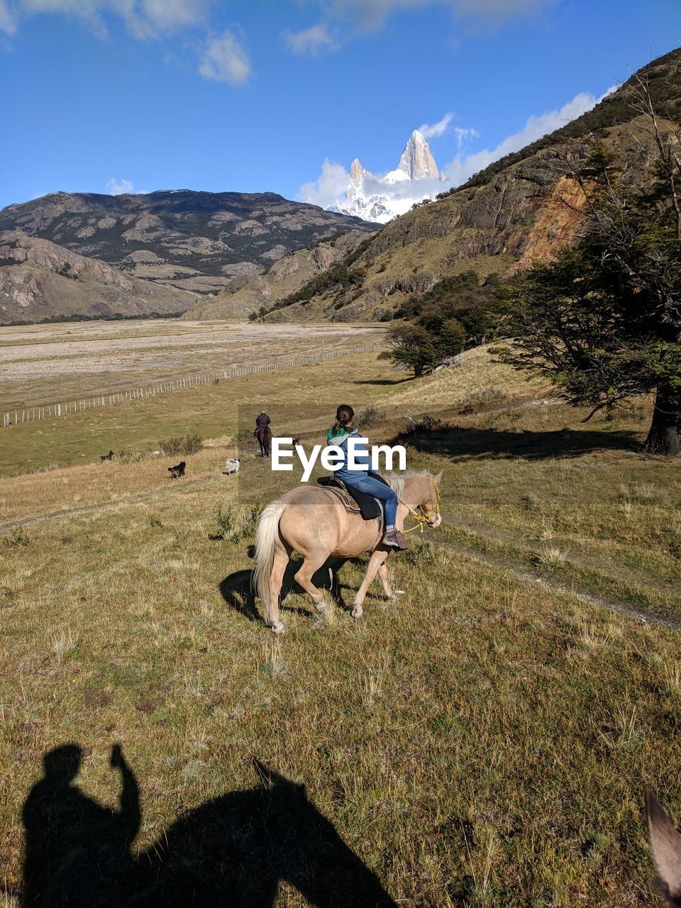 MAN RIDING HORSE ON FIELD