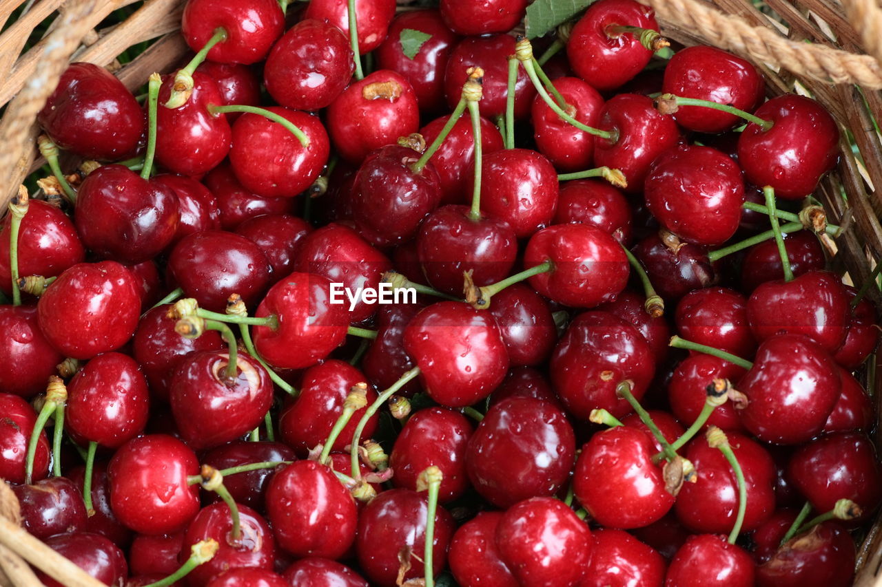 FULL FRAME SHOT OF CHERRIES