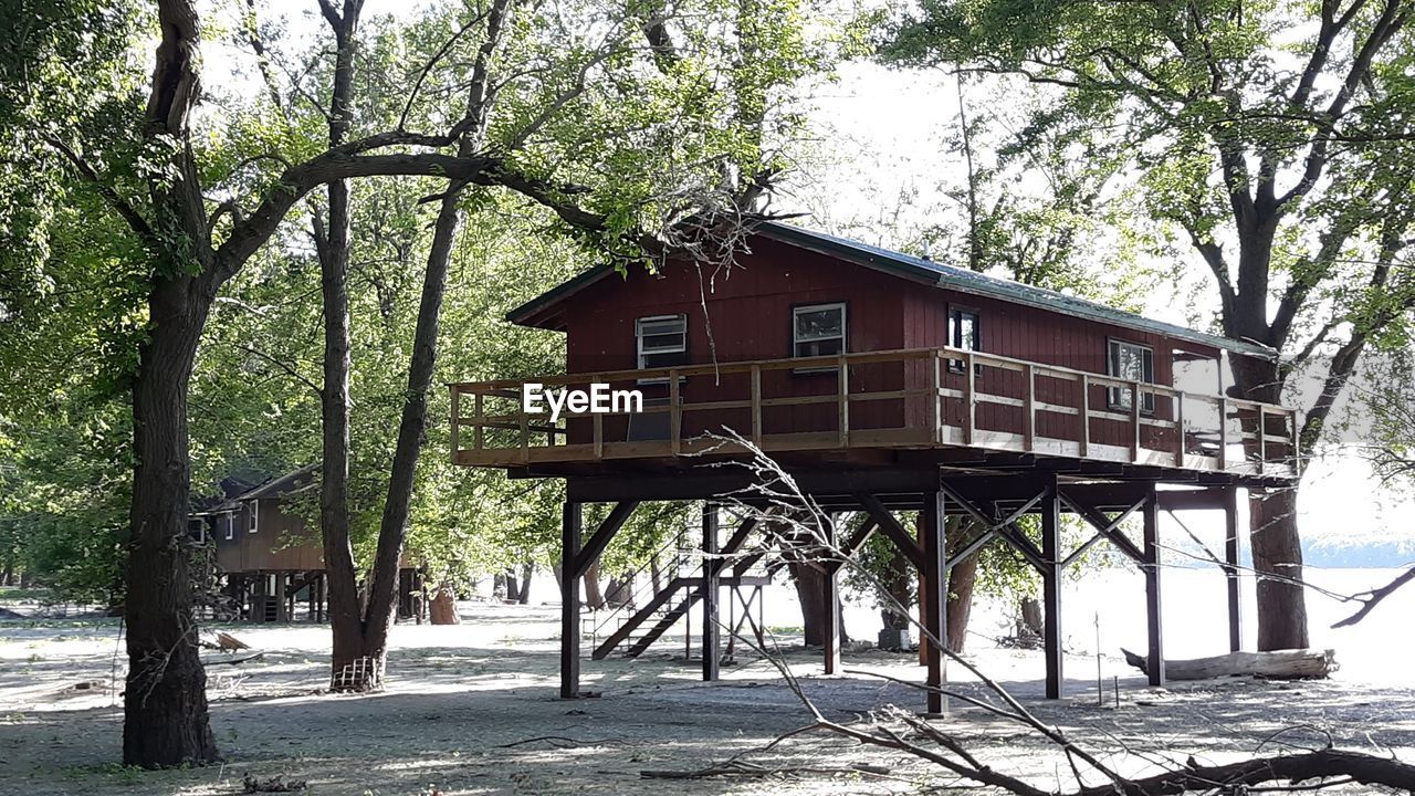 HOUSE AND TREES IN FOREST