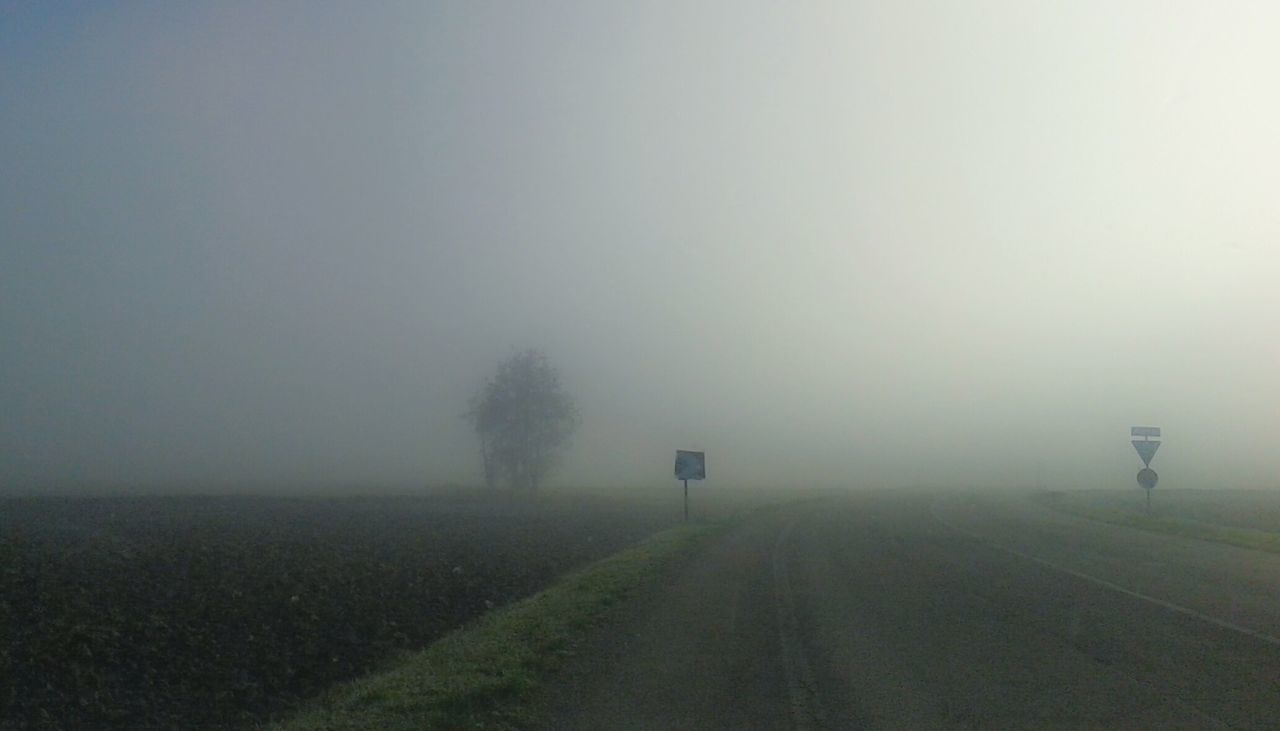 ROAD PASSING THROUGH FOGGY WEATHER