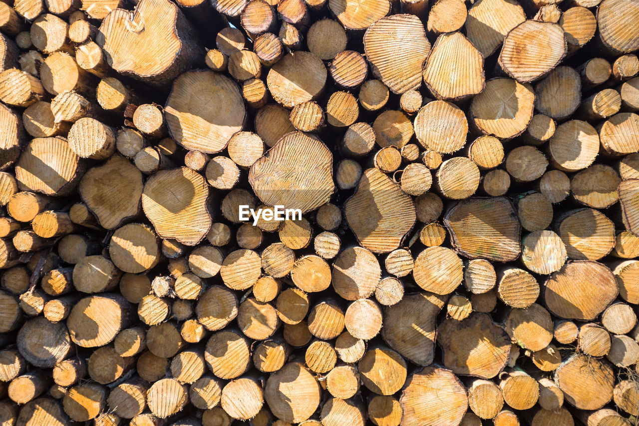 Full frame shot of logs