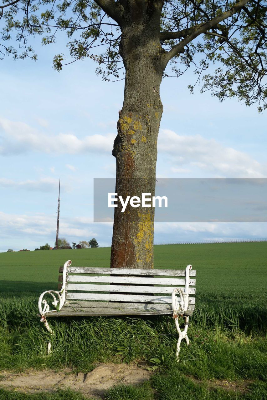 Empty bench by tree on field