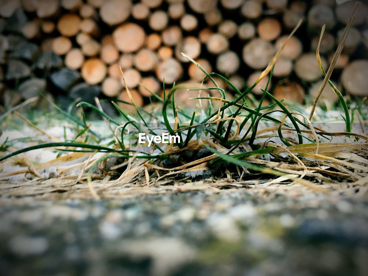 SURFACE LEVEL OF GROUND