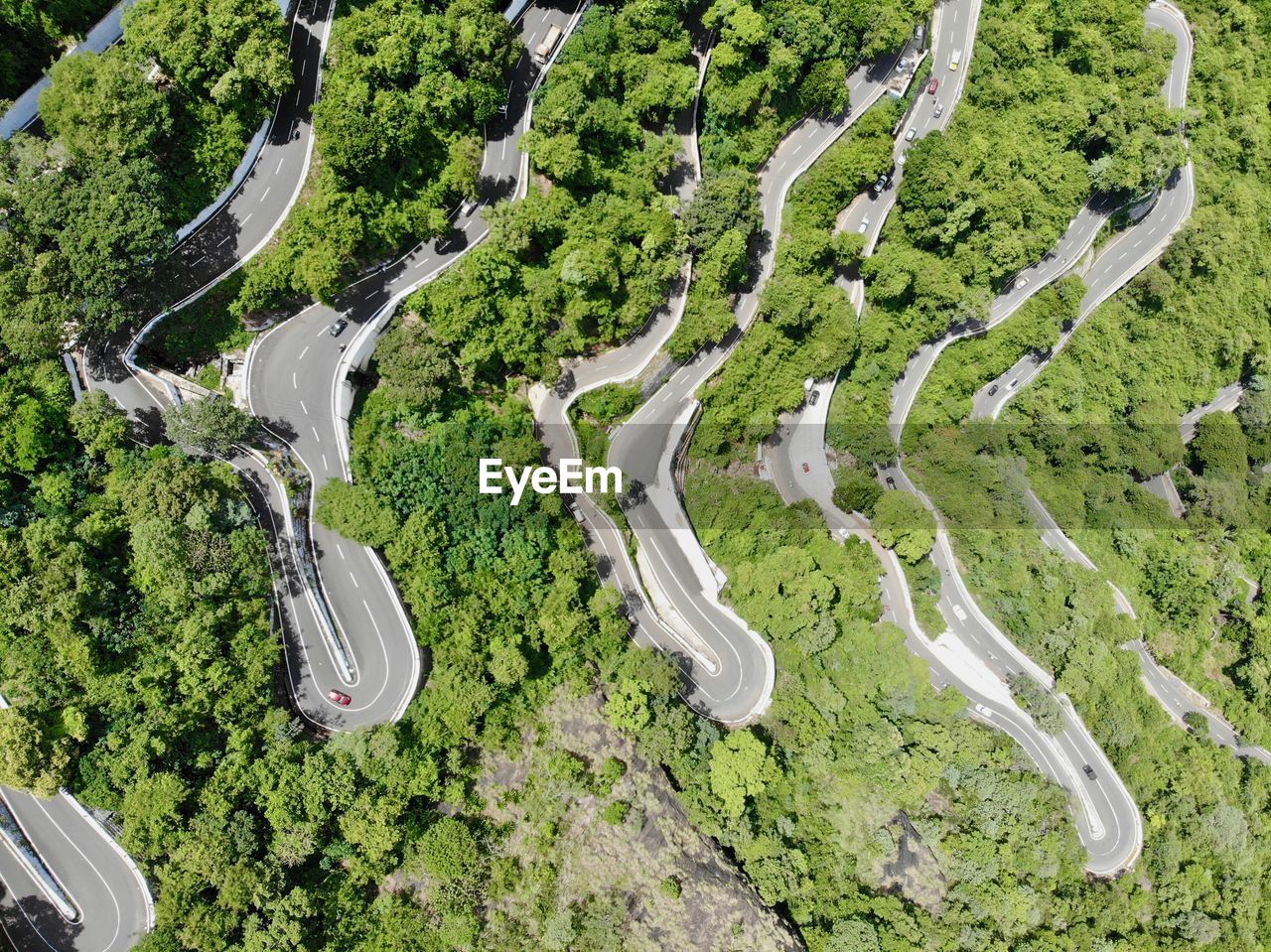 aerial photography, bird's-eye view, plant, green, aerial view, high angle view, environment, nature, no people, tree, landscape, scenics - nature, growth, beauty in nature, road, day, land, transportation, tranquility, outdoors, residential area, non-urban scene, tranquil scene, curve, field, mountain pass, rural scene, agriculture, idyllic, winding road