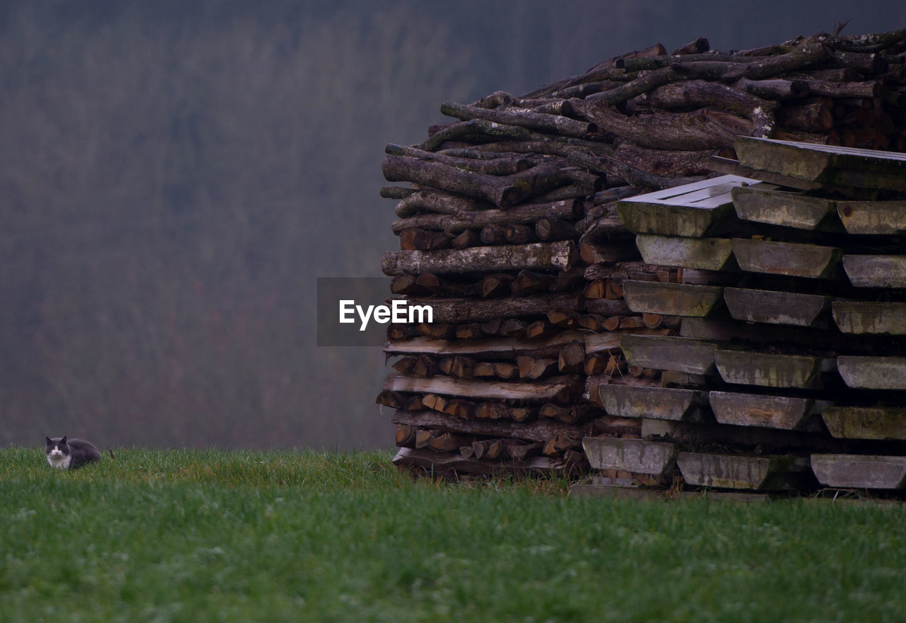 Stack of hay on grass