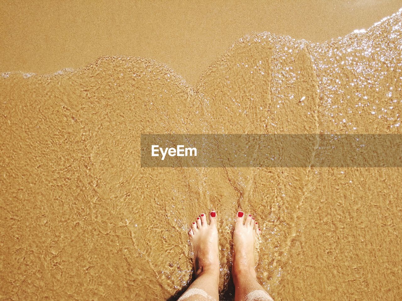 Low section of woman on beach