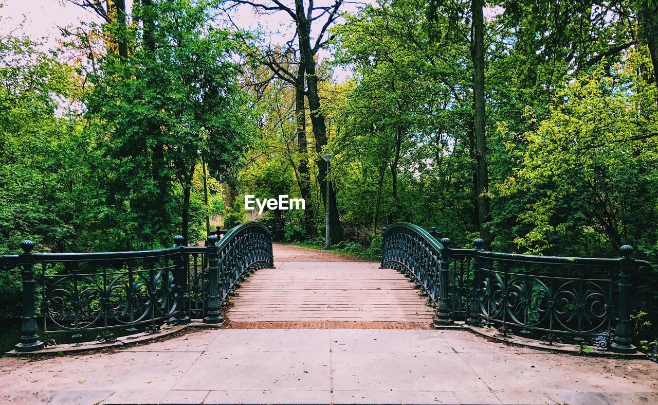 Boardwalk in forest against sky