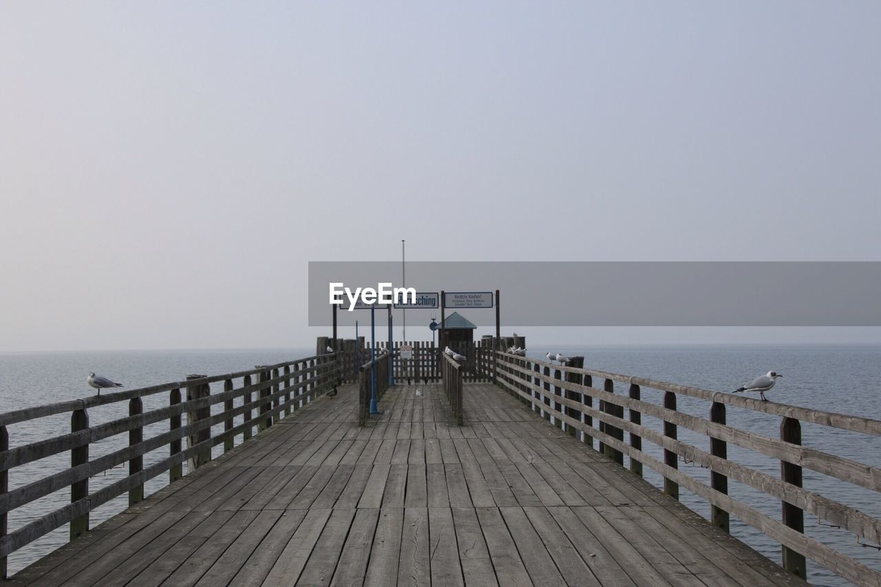 Seagulls on pier