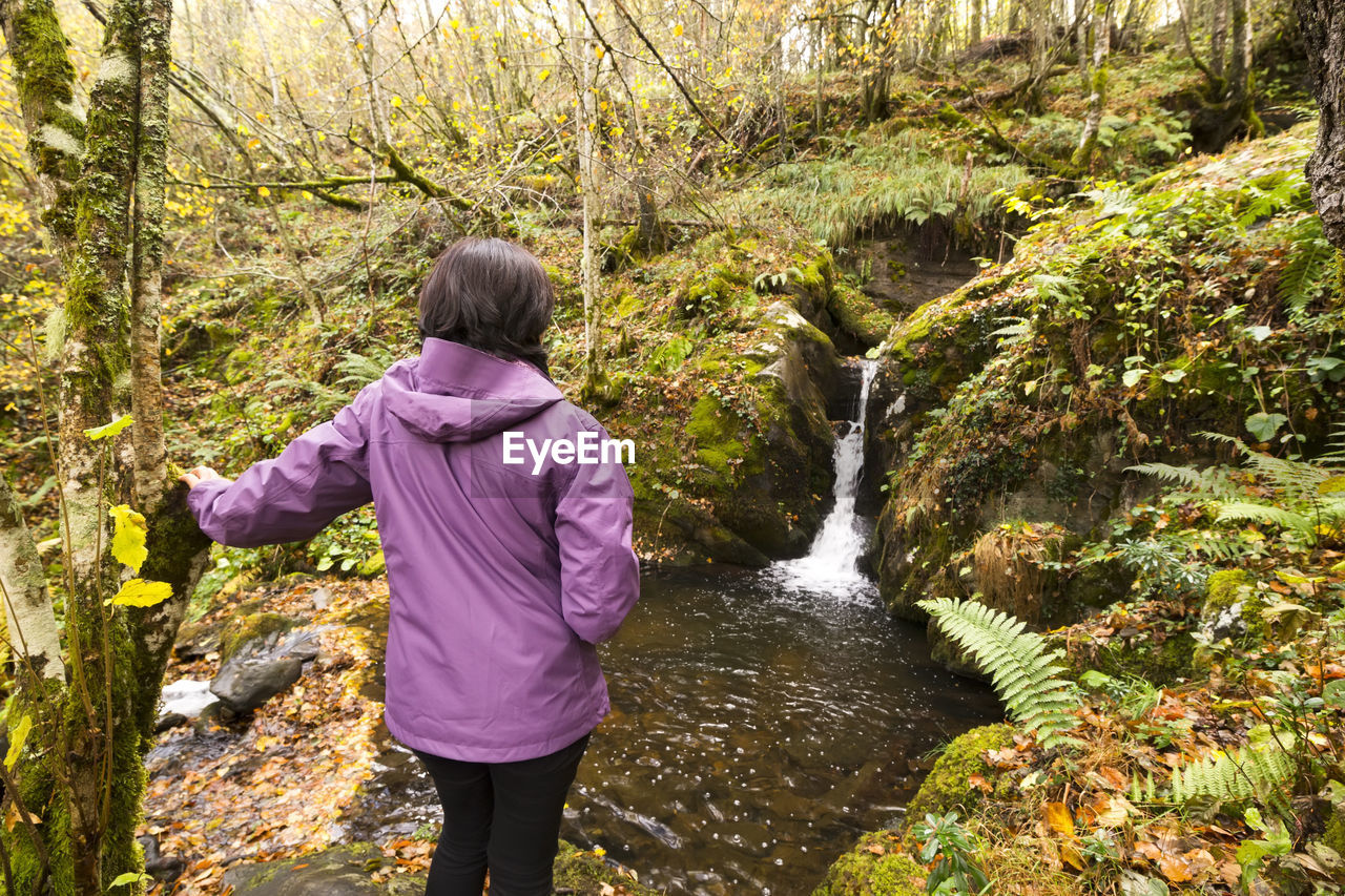 Rear view of woman standing by stream in forest