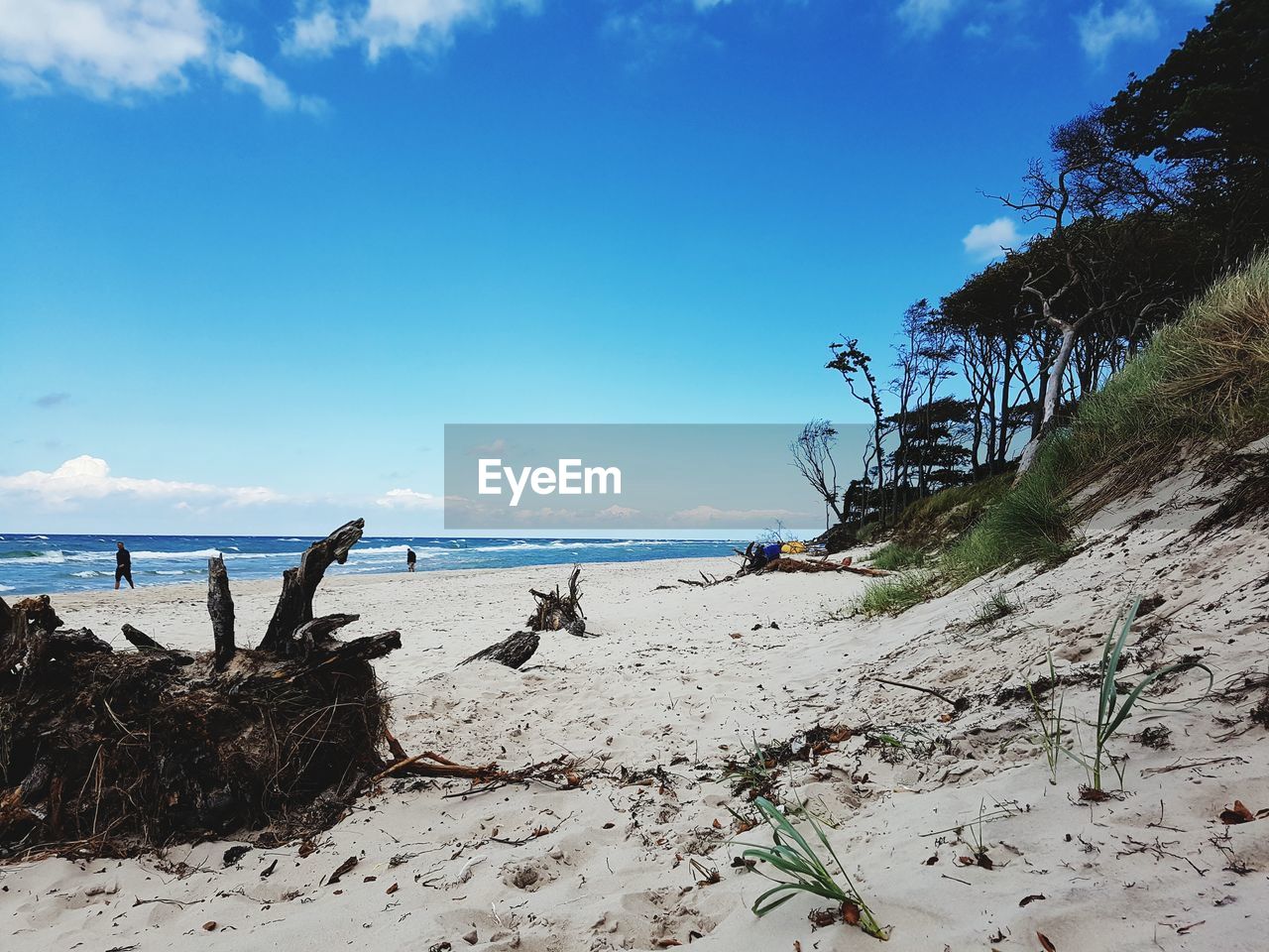 Scenic view of beach against blue sky