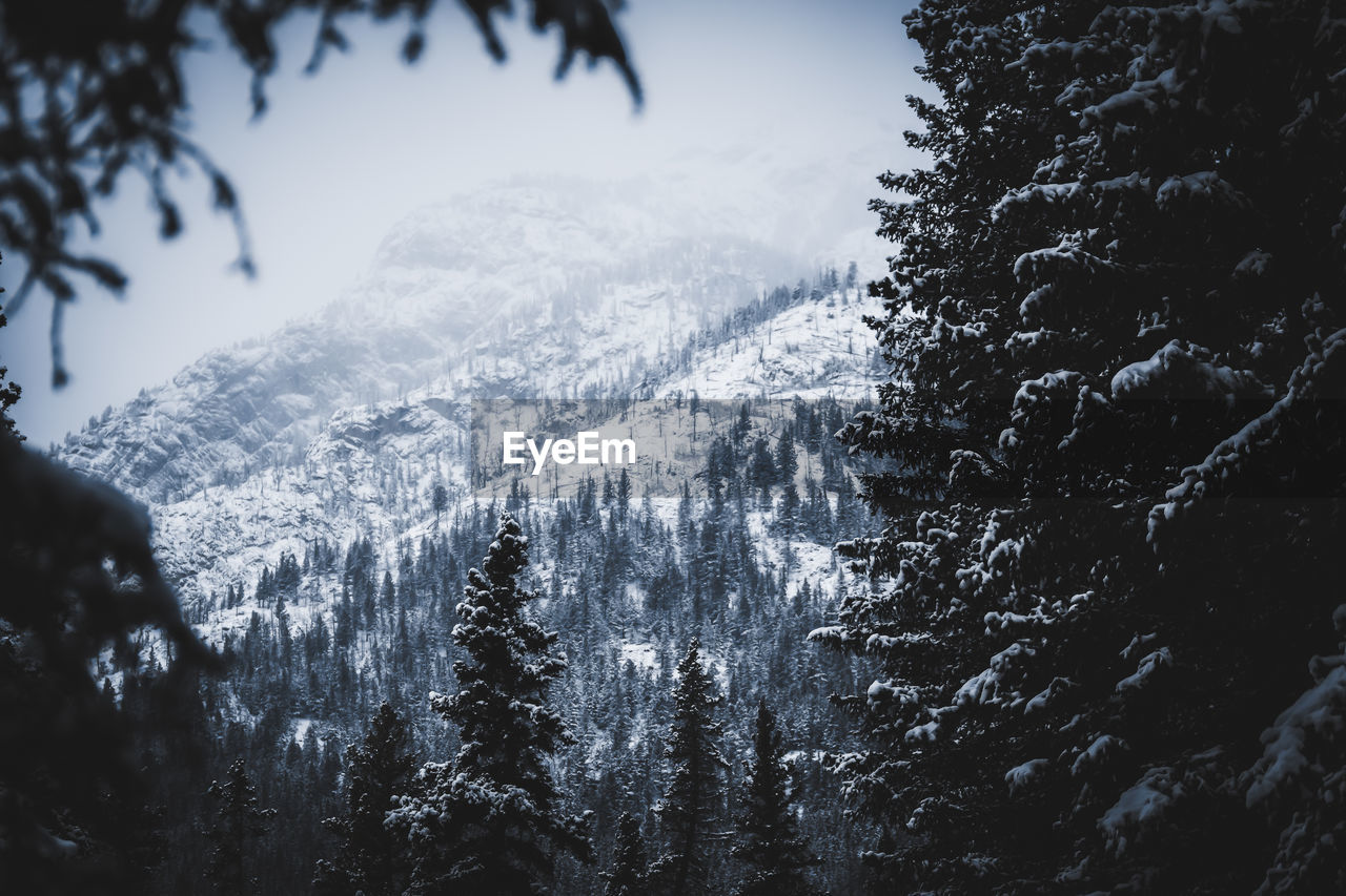 SCENIC VIEW OF SNOW COVERED MOUNTAIN