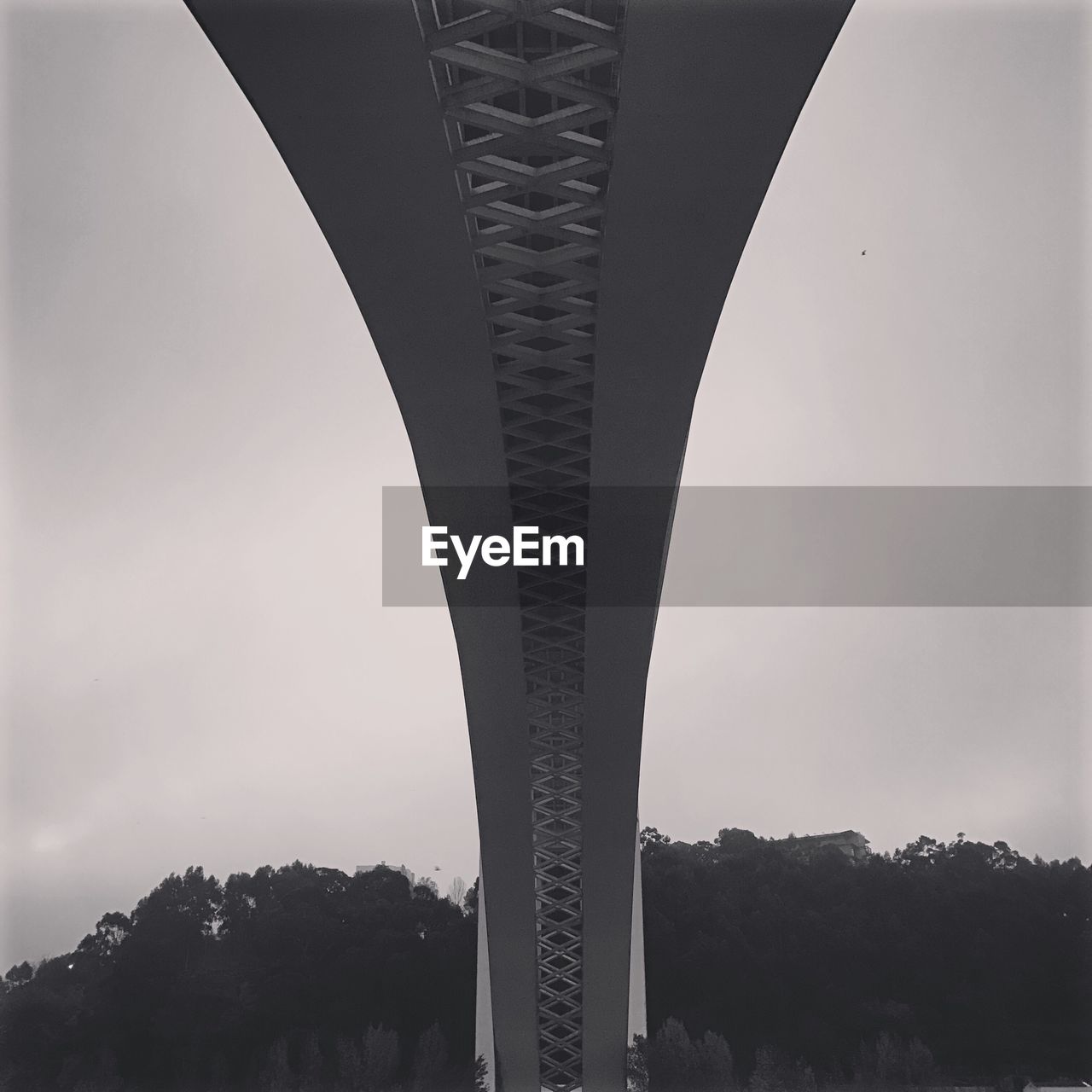 LOW ANGLE VIEW OF BRIDGE AND TREE AGAINST SKY