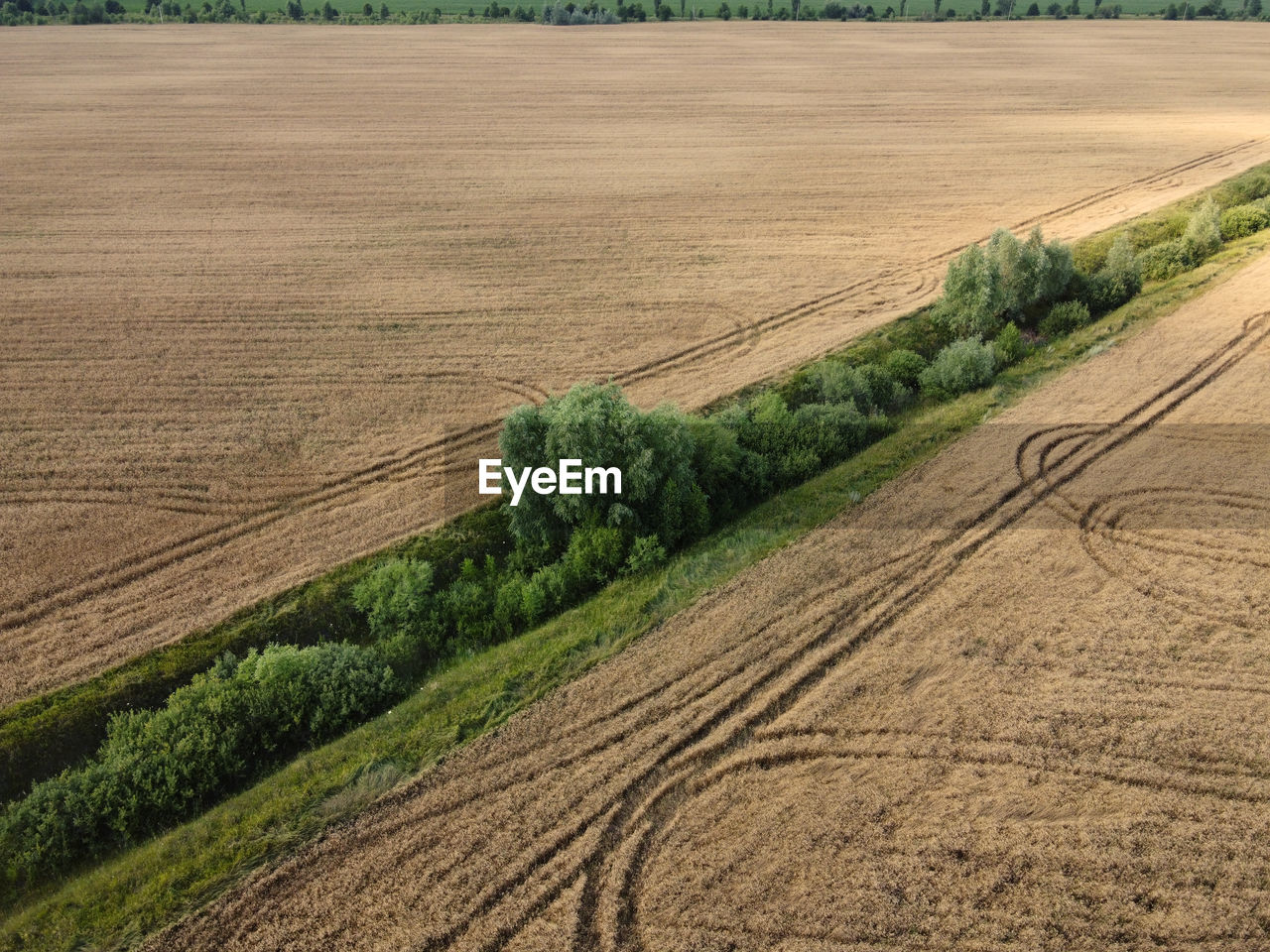 SCENIC VIEW OF AGRICULTURAL FIELD AGAINST ROAD