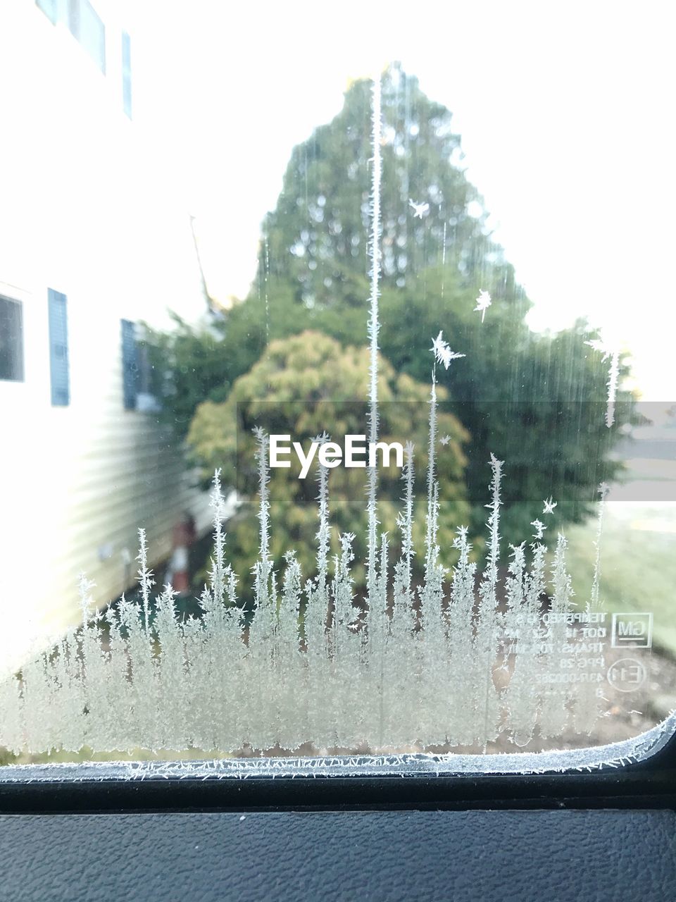 CLOSE-UP OF WATER AGAINST TREES