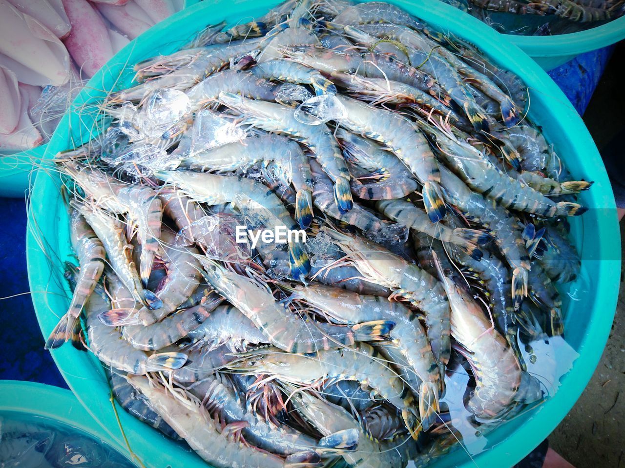 High angle view of prawns in market for sale