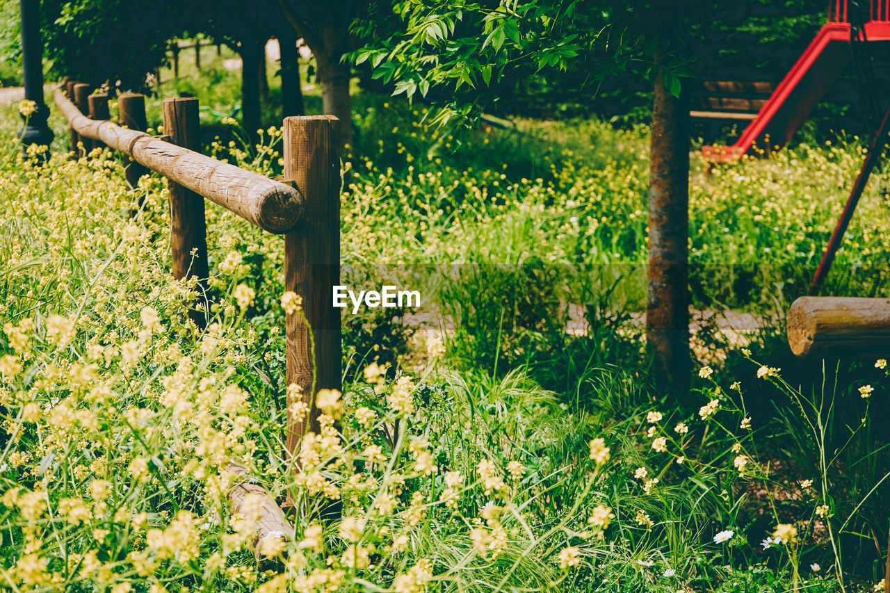 WOODEN POST ON FIELD