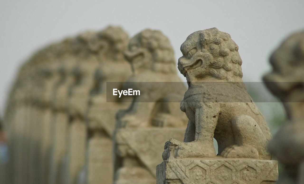 Close-up of lion sculptures in row