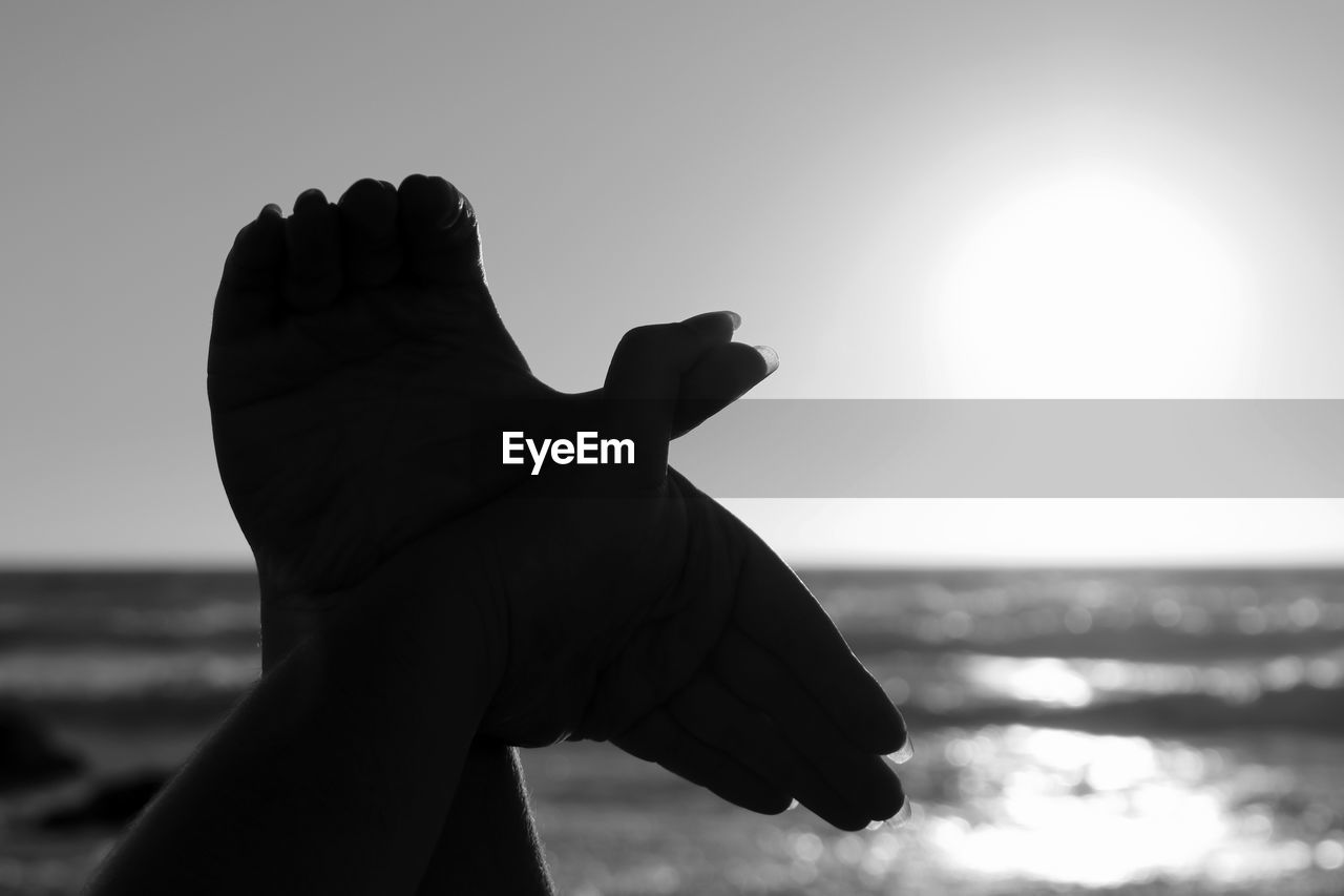 Cropped image of silhouette hands making bird sign against sky