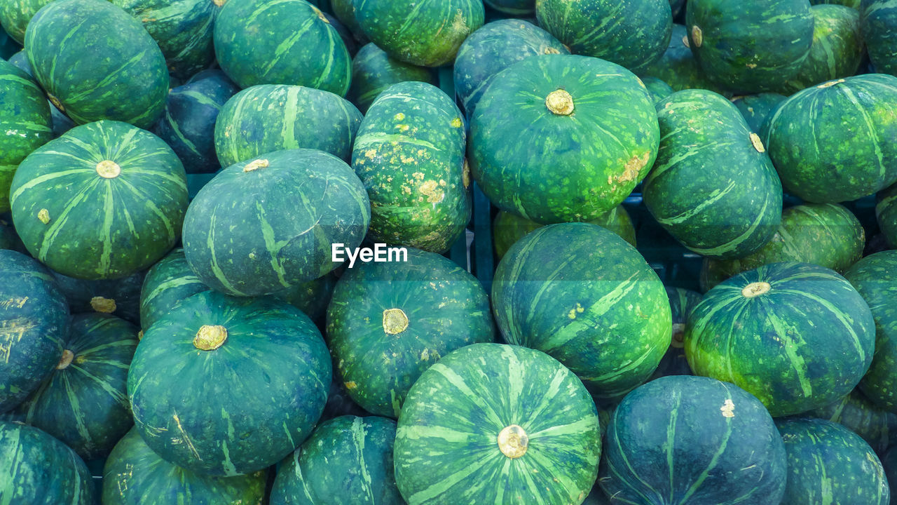 FULL FRAME SHOT OF FRESH GREEN FRUITS