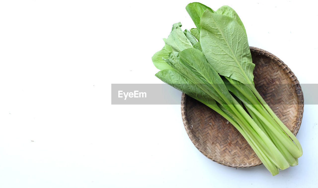 food and drink, food, wellbeing, healthy eating, freshness, vegetable, studio shot, green, leaf, plant part, white background, indoors, produce, still life, no people, herb, copy space, cut out, organic, raw food, ingredient, nature, plant, close-up
