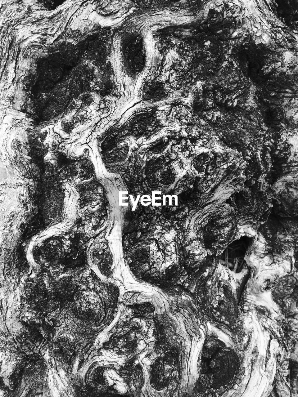 FULL FRAME SHOT OF WHITE SURFACE